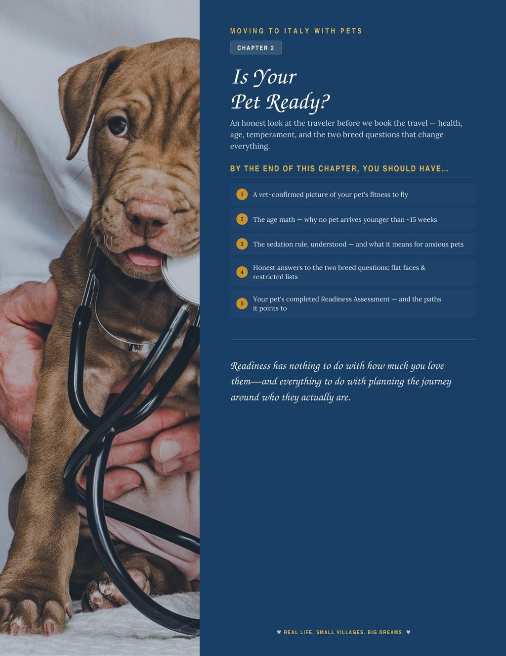 Moving to Italy with Pets | Digital Guide