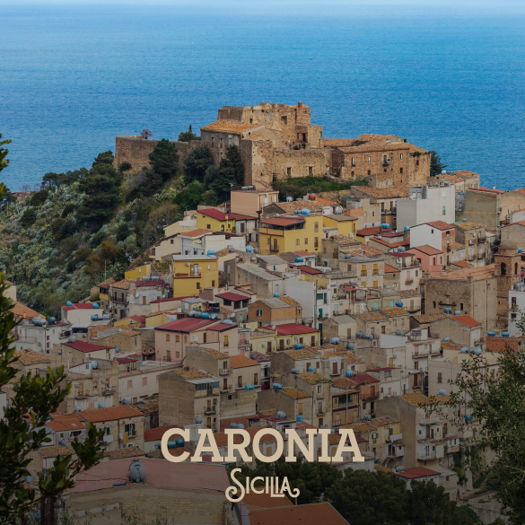 Caronia